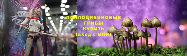 мяу мяу мука Абаза