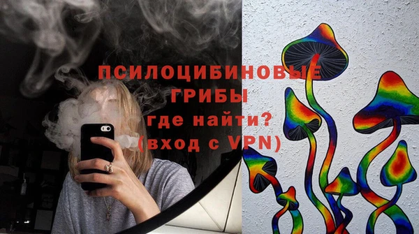 индика Абинск