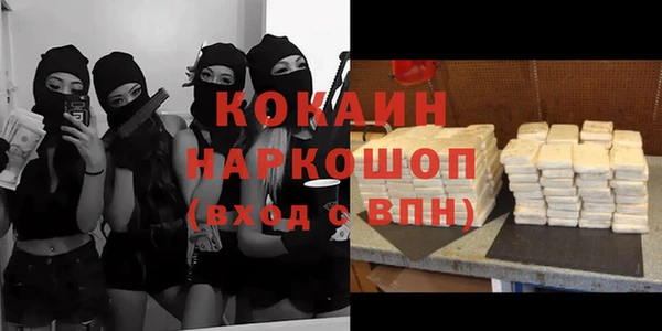 индика Абинск