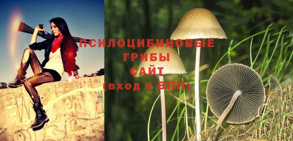индика Абинск