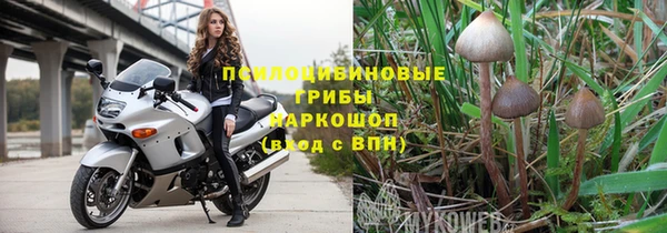 мяу мяу мука Абаза