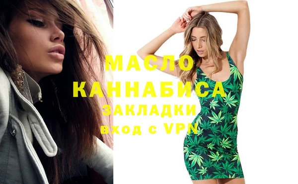 индика Абинск