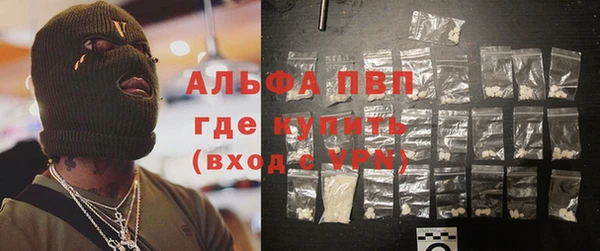 индика Абинск