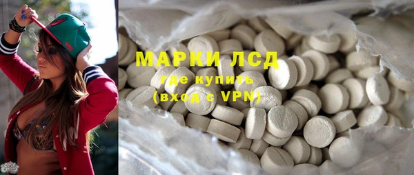 индика Абинск